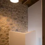 Athina Stone & Snow Chalet *